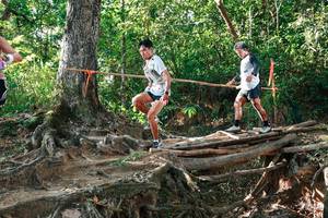 BIB: 
                            <button type="button" onclick="openModal(27552955)" class="btn btn-primary btn-sm float-right btn-popup" data-toggle="modal" data-target=".modal-high-quality">
                        <i class="fas fa-shopping-cart"></i> Add to Cart
                    </button>
                                            <button type="button" onclick="isThisMe(27552955, true)" class="btn btn-success btn-sm float-right btn-popup btn-isme hidden" data-toggle="tooltip" data-placement="bottom" title="นี่คือรูปของคุณใช่ไหม คลิกที่นี่เพื่อเอาเข้าอัลบั้ม">
                        <i class="fas fa-plus"></i> Add to album
                    </button>
                    <button type="button" onclick="isThisMe(27552955, false)" class="btn btn-warning btn-sm float-right btn-popup btn-isnotme hidden">
                        <i class="fas fa-ban"></i> Remove from album
                    </button>